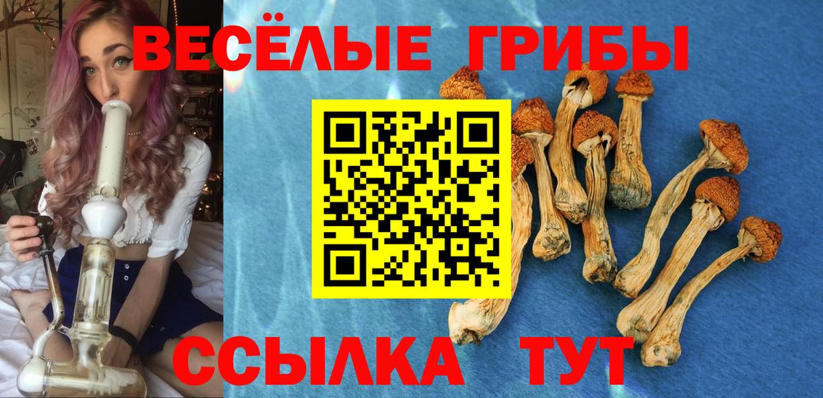 Галлюциногенные грибы прущие грибы Домодедово